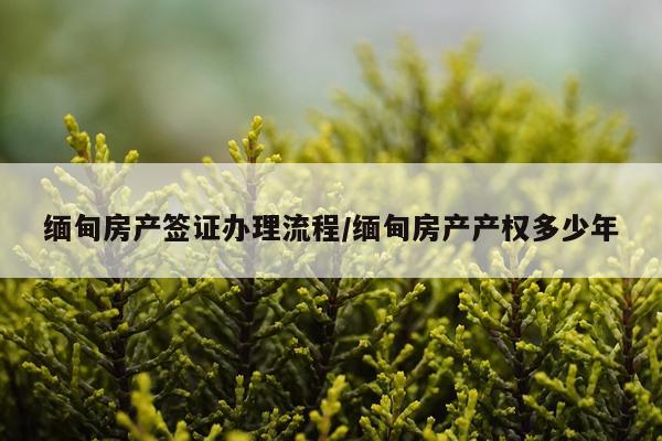 缅甸房产签证办理流程/缅甸房产产权多少年