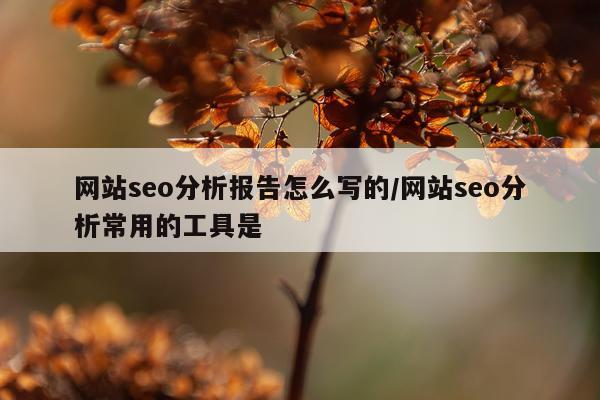 网站seo分析报告怎么写的/网站seo分析常用的工具是