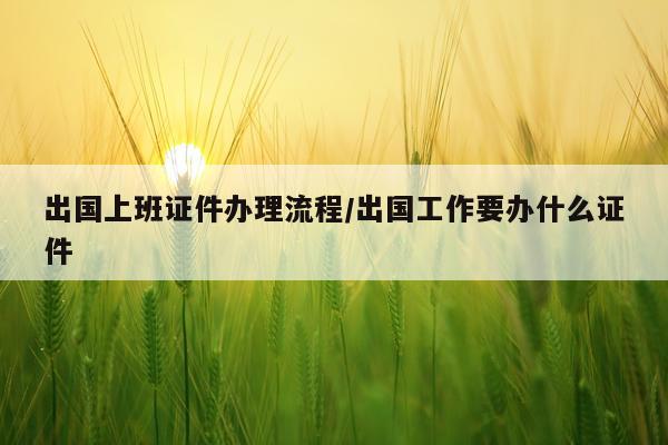 出国上班证件办理流程/出国工作要办什么证件