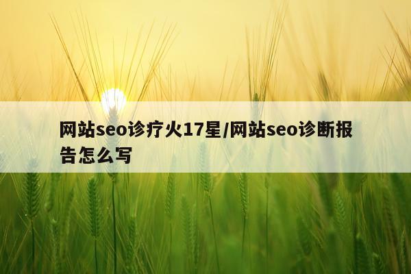 网站seo诊疗火17星/网站seo诊断报告怎么写