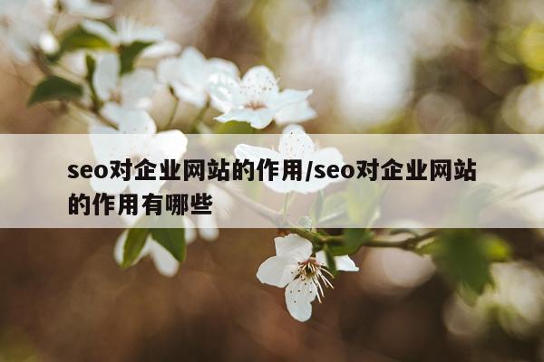 seo对企业网站的作用/seo对企业网站的作用有哪些