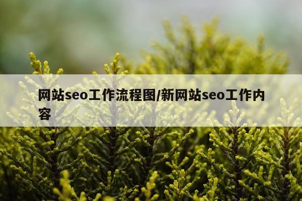 网站seo工作流程图/新网站seo工作内容