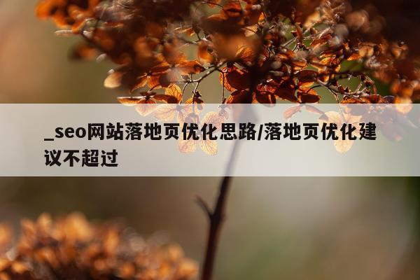 _seo网站落地页优化思路/落地页优化建议不超过