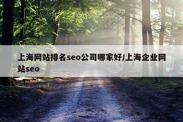 上海网站排名seo公司哪家好/上海企业网站seo