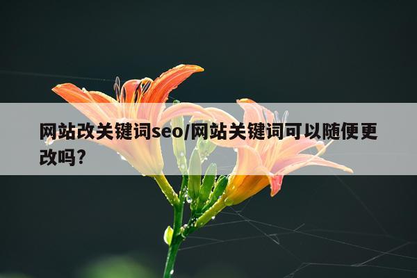 网站改关键词seo/网站关键词可以随便更改吗?