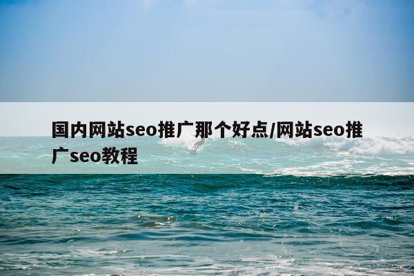 国内网站seo推广那个好点/网站seo推广seo教程