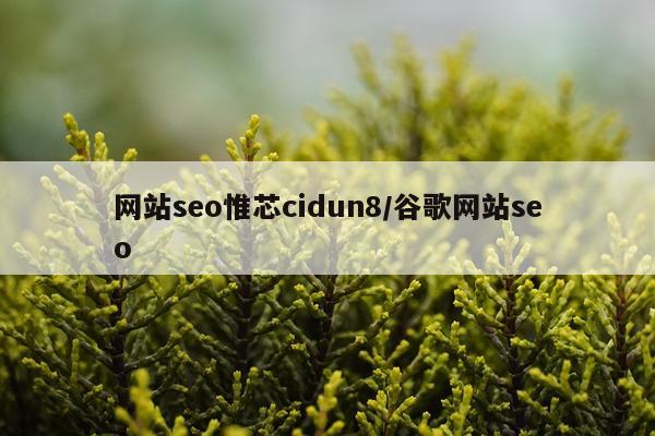 网站seo惟芯cidun8/谷歌网站seo