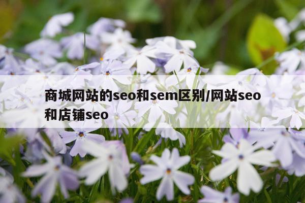 商城网站的seo和sem区别/网站seo和店铺seo