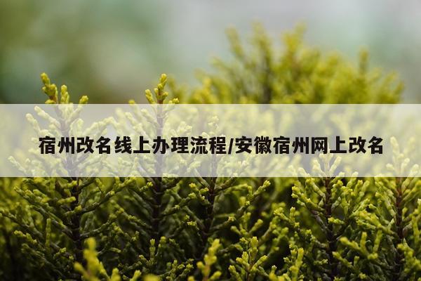 宿州改名线上办理流程/安徽宿州网上改名