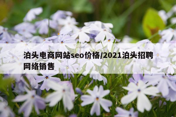 泊头电商网站seo价格/2021泊头招聘网络销售