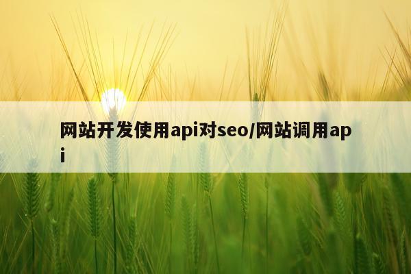 网站开发使用api对seo/网站调用api