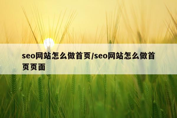 seo网站怎么做首页/seo网站怎么做首页页面
