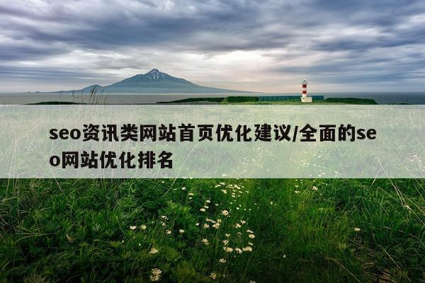 seo资讯类网站首页优化建议/全面的seo网站优化排名