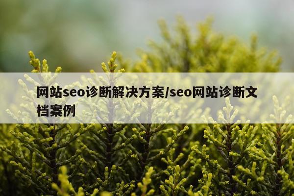 网站seo诊断解决方案/seo网站诊断文档案例