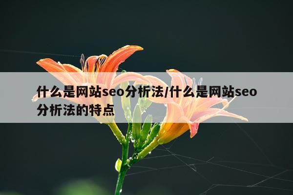 什么是网站seo分析法/什么是网站seo分析法的特点