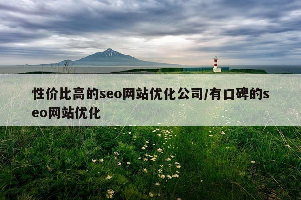 性价比高的seo网站优化公司/有口碑的seo网站优化