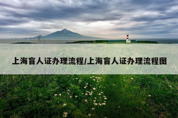 上海盲人证办理流程/上海盲人证办理流程图