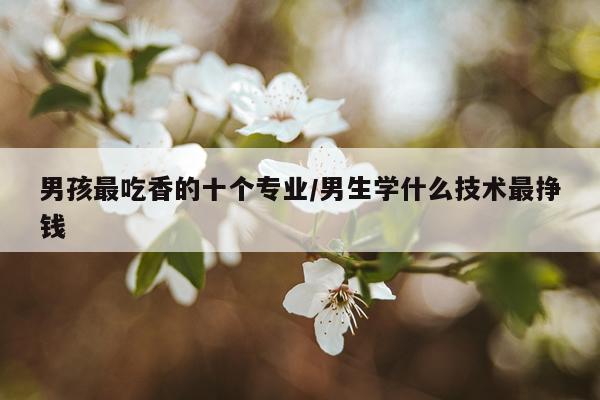 男孩最吃香的十个专业/男生学什么技术最挣钱