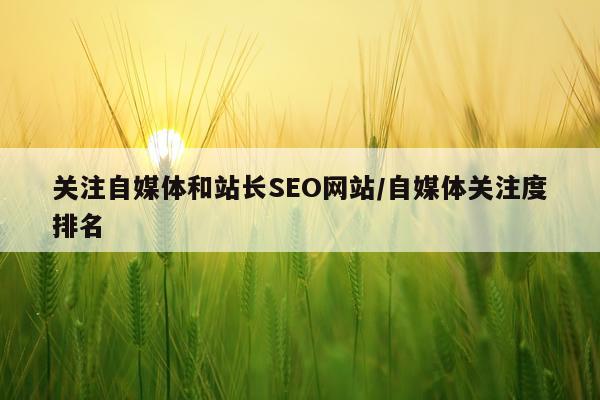 关注自媒体和站长SEO网站/自媒体关注度排名