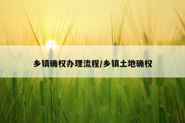 乡镇确权办理流程/乡镇土地确权