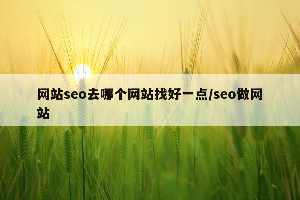 网站seo去哪个网站找好一点/seo做网站