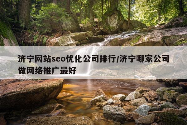 济宁网站seo优化公司排行/济宁哪家公司做网络推广最好