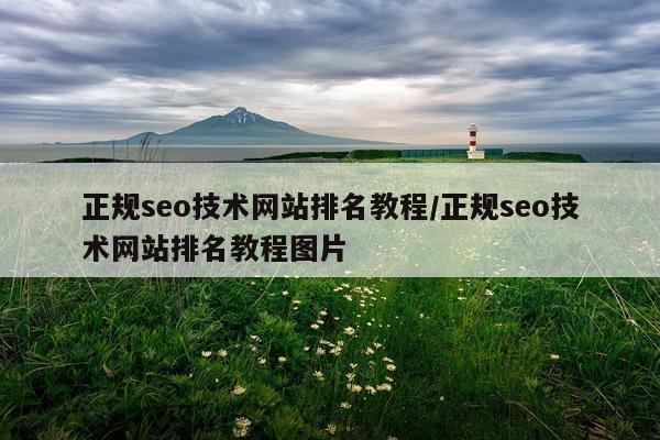 正规seo技术网站排名教程/正规seo技术网站排名教程图片