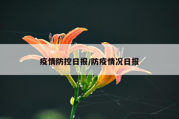 疫情防控日报/防疫情况日报