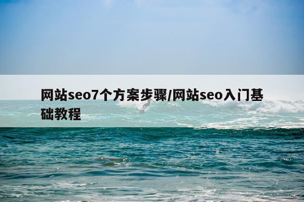 网站seo7个方案步骤/网站seo入门基础教程