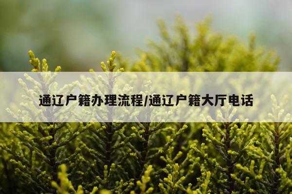 通辽户籍办理流程/通辽户籍大厅电话