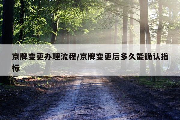 京牌变更办理流程/京牌变更后多久能确认指标