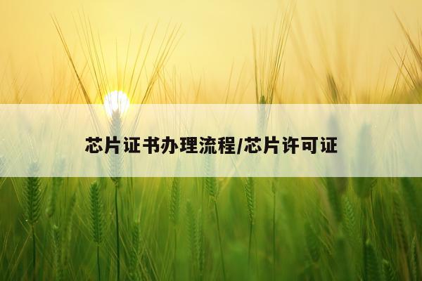 芯片证书办理流程/芯片许可证