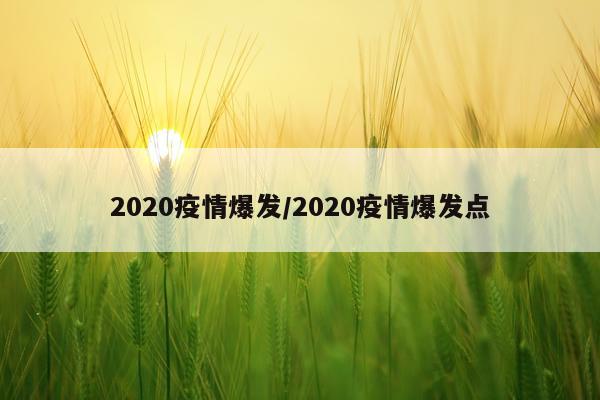 2020疫情爆发/2020疫情爆发点