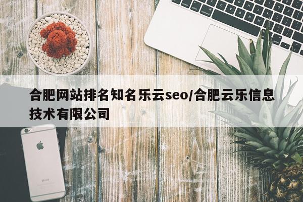 合肥网站排名知名乐云seo/合肥云乐信息技术有限公司
