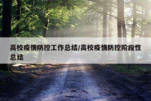 高校疫情防控工作总结/高校疫情防控阶段性总结