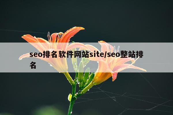 seo排名软件网站site/seo整站排名
