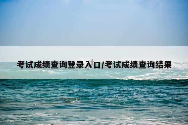 考试成绩查询登录入口/考试成绩查询结果