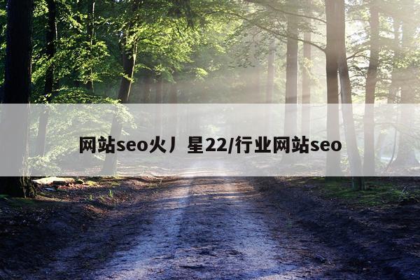 网站seo火丿星22/行业网站seo