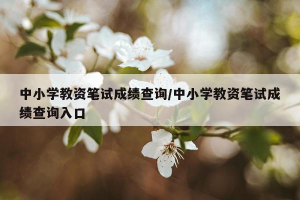 中小学教资笔试成绩查询/中小学教资笔试成绩查询入口