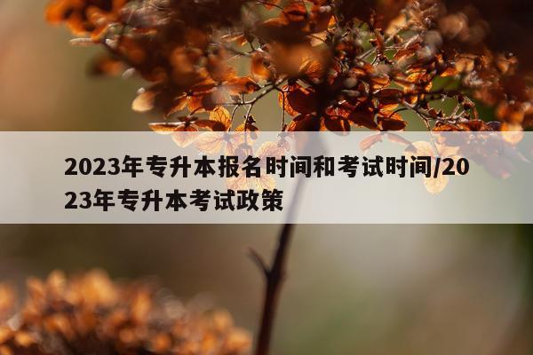 2023年专升本报名时间和考试时间/2023年专升本考试政策