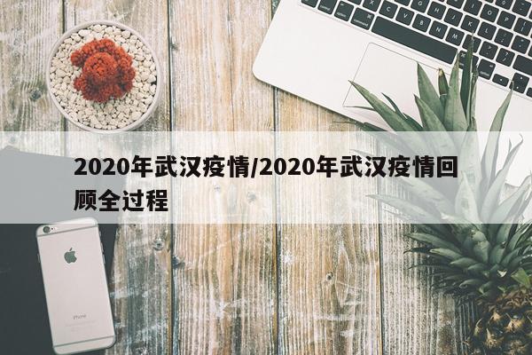 2020年武汉疫情/2020年武汉疫情回顾全过程
