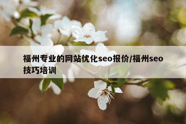 福州专业的网站优化seo报价/福州seo技巧培训