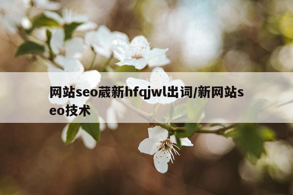 网站seo葳新hfqjwl出词/新网站seo技术
