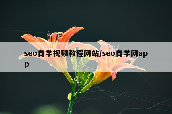 seo自学视频教程网站/seo自学网app