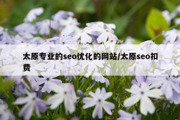 太原专业的seo优化的网站/太原seo扣费