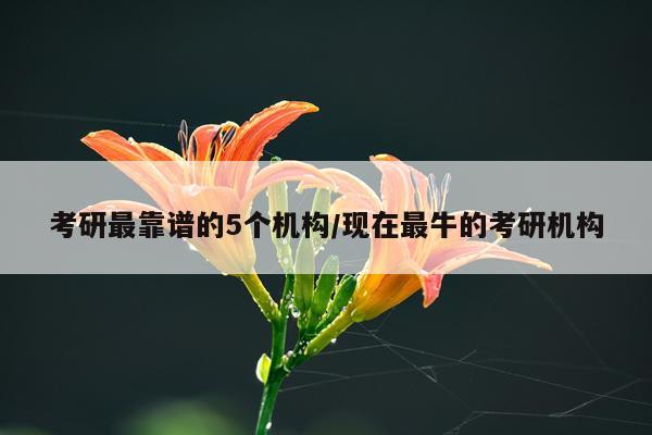 考研最靠谱的5个机构/现在最牛的考研机构