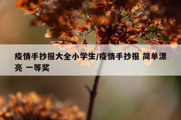 疫情手抄报大全小学生/疫情手抄报 简单漂亮 一等奖