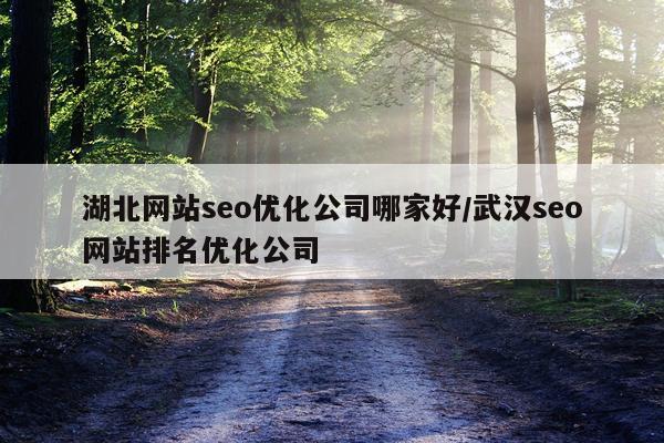 湖北网站seo优化公司哪家好/武汉seo网站排名优化公司