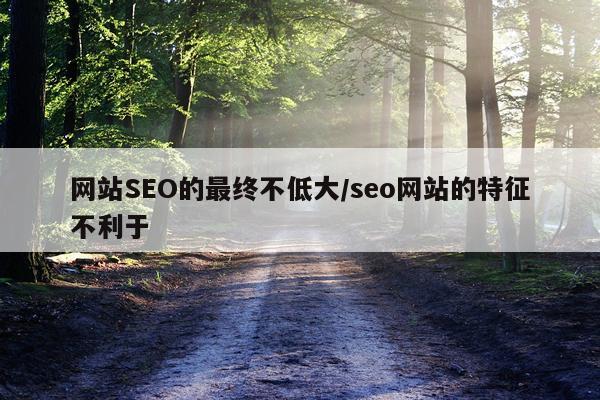网站SEO的最终不低大/seo网站的特征不利于