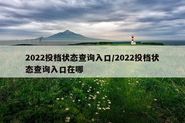 2022投档状态查询入口/2022投档状态查询入口在哪